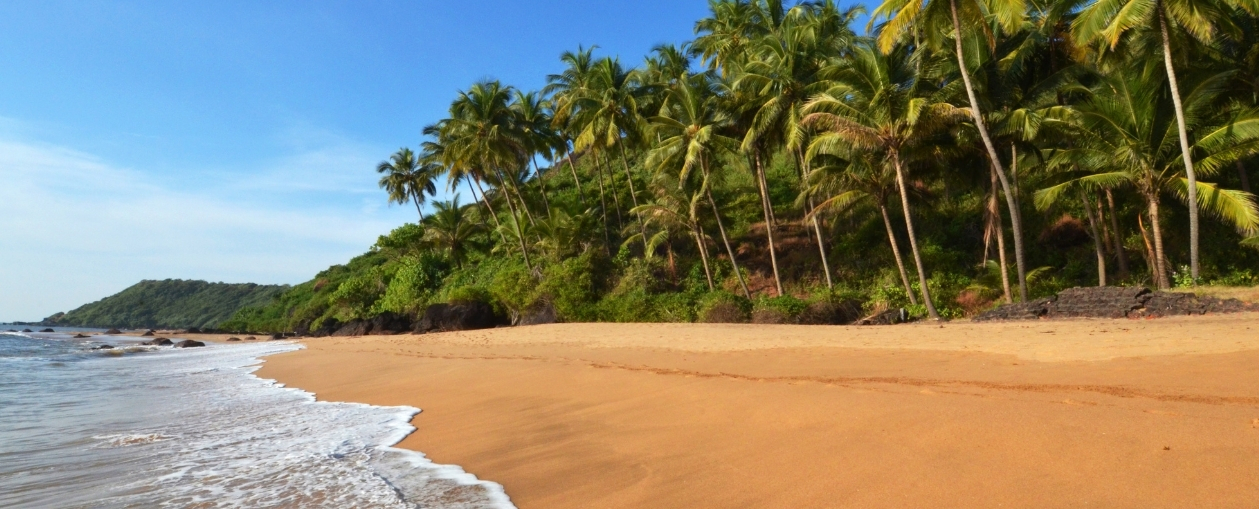 Goa Getaway: 4-Day Beach & Culture Tour