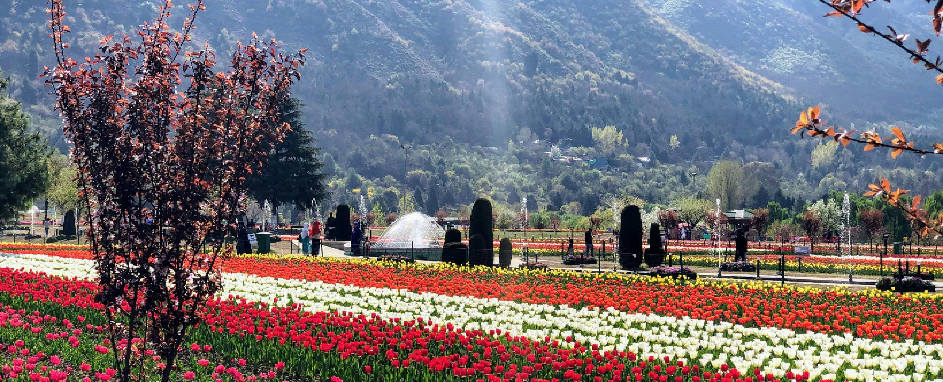 6D Kashmir Panorama – Srinagar, Gulmarg, Sonmarg & Pahalgam