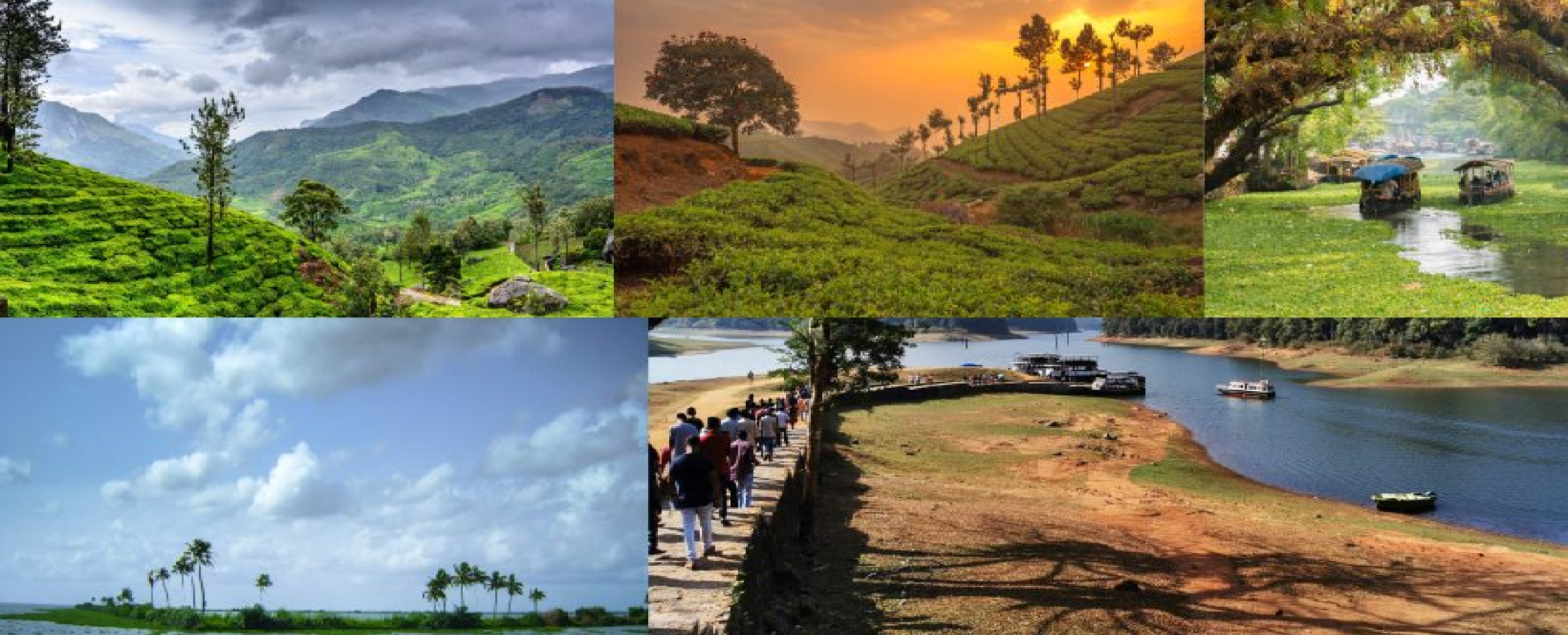 Kerala Delight – Munnar, Thekkady & Alleppey (4N/5D)