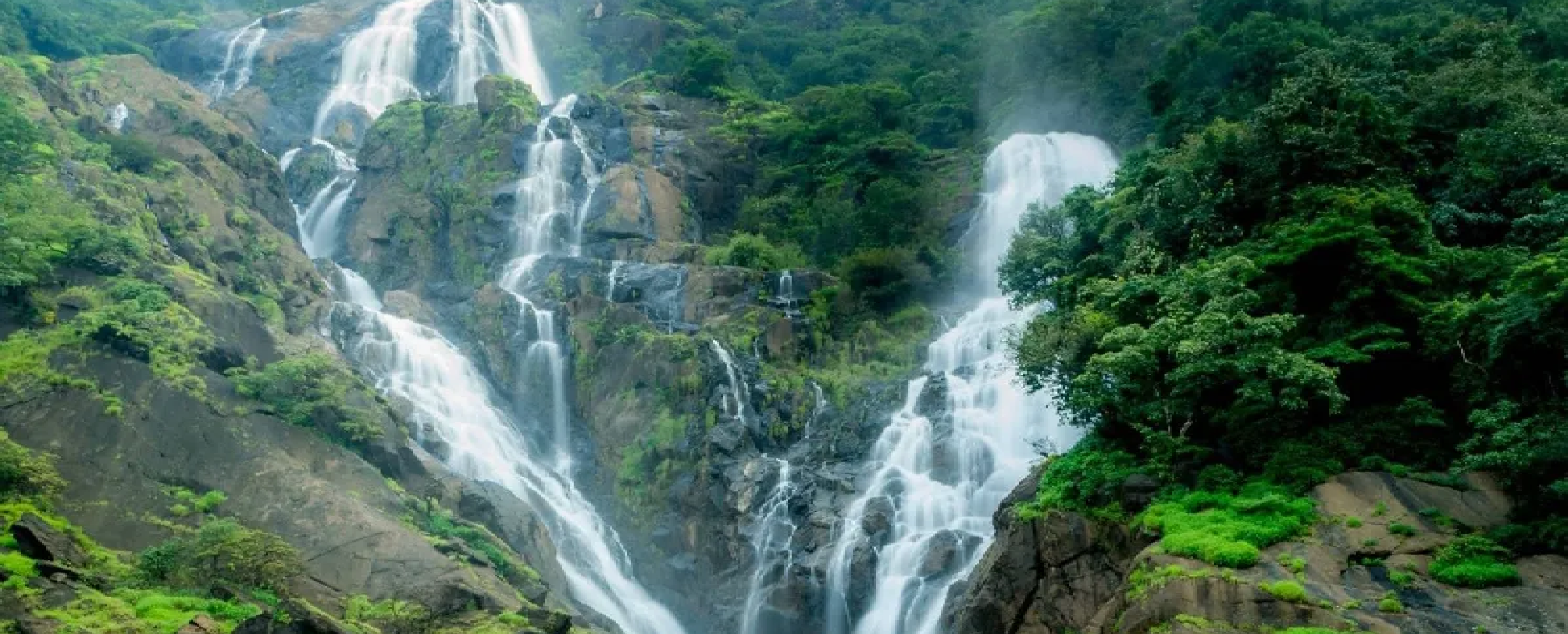 5-Day Goa Getaway with Dudhsagar Adventure